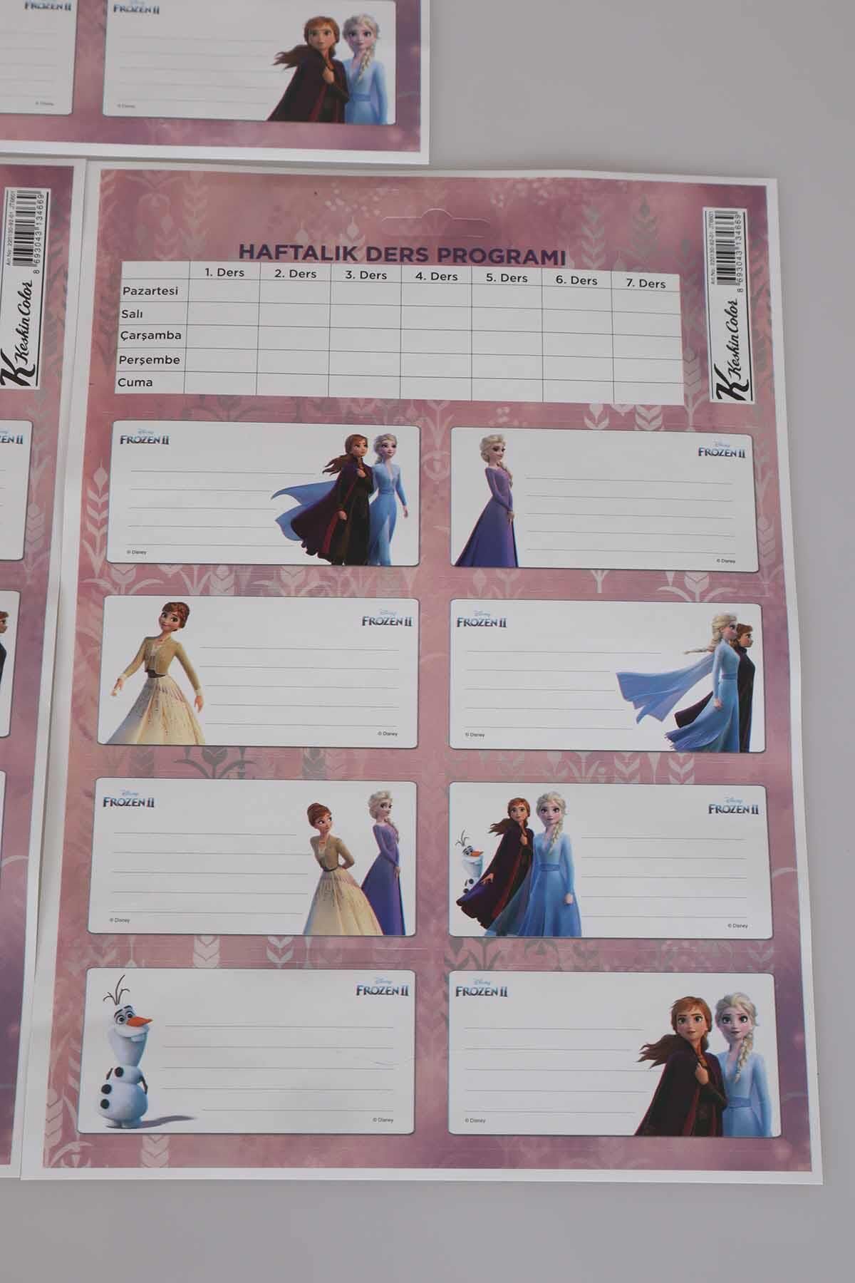 LİSANSLI DISNEY FROZEN ELSA 24'LÜ OKUL ETİKETİ *DERS PROGRAMLI*
