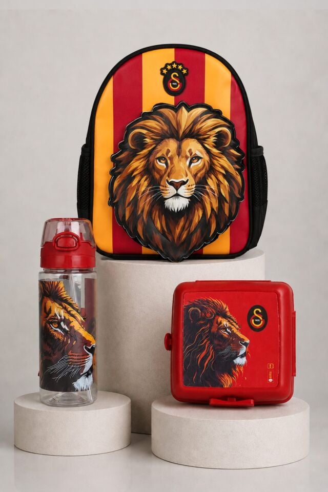 x Dekomus Lisanslı Galatasaray 3D Leon Baskılı Küçük Boy Anaokul Çantası,Beslenme Kabı,500 ML Matara Seti